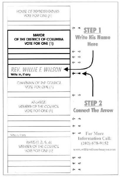 Picture of ballot and instructions for writing in name