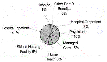 Pie chart of Medicare Expenditure
